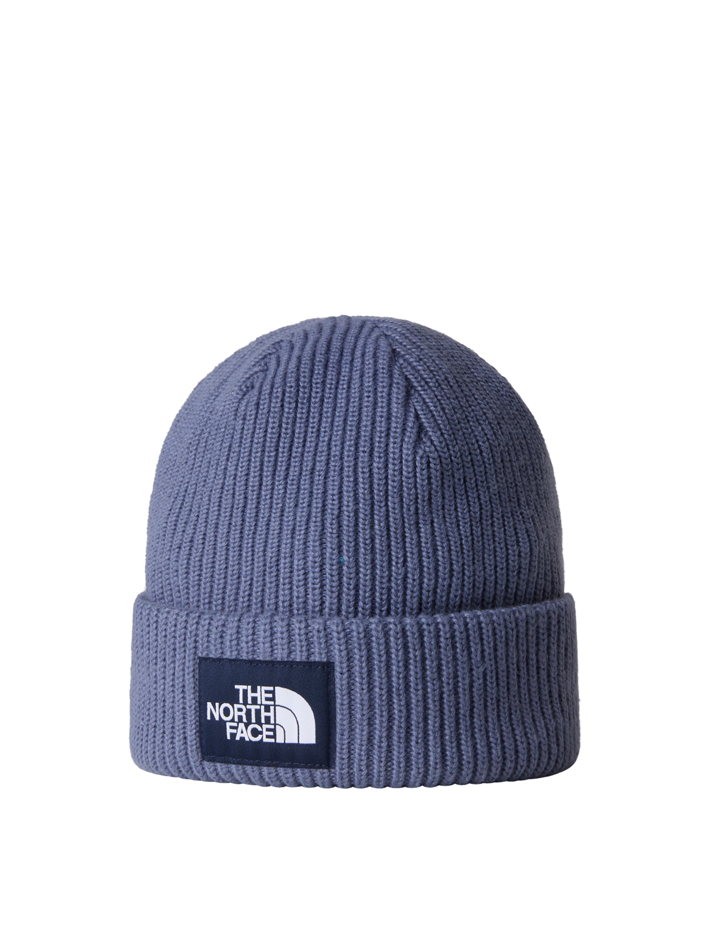 THE NORTH FACE Beanie in Blue: front