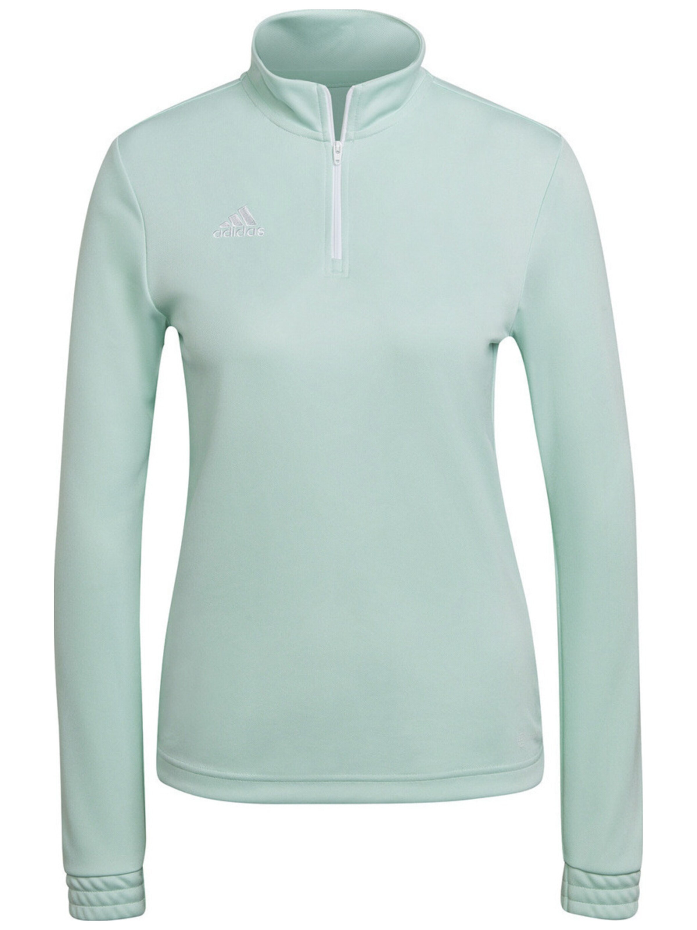 ADIDAS Blouse 'adidas Entrada 22 Training Top' in Green: front
