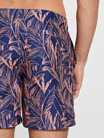 Shiwi Board Shorts in Blue