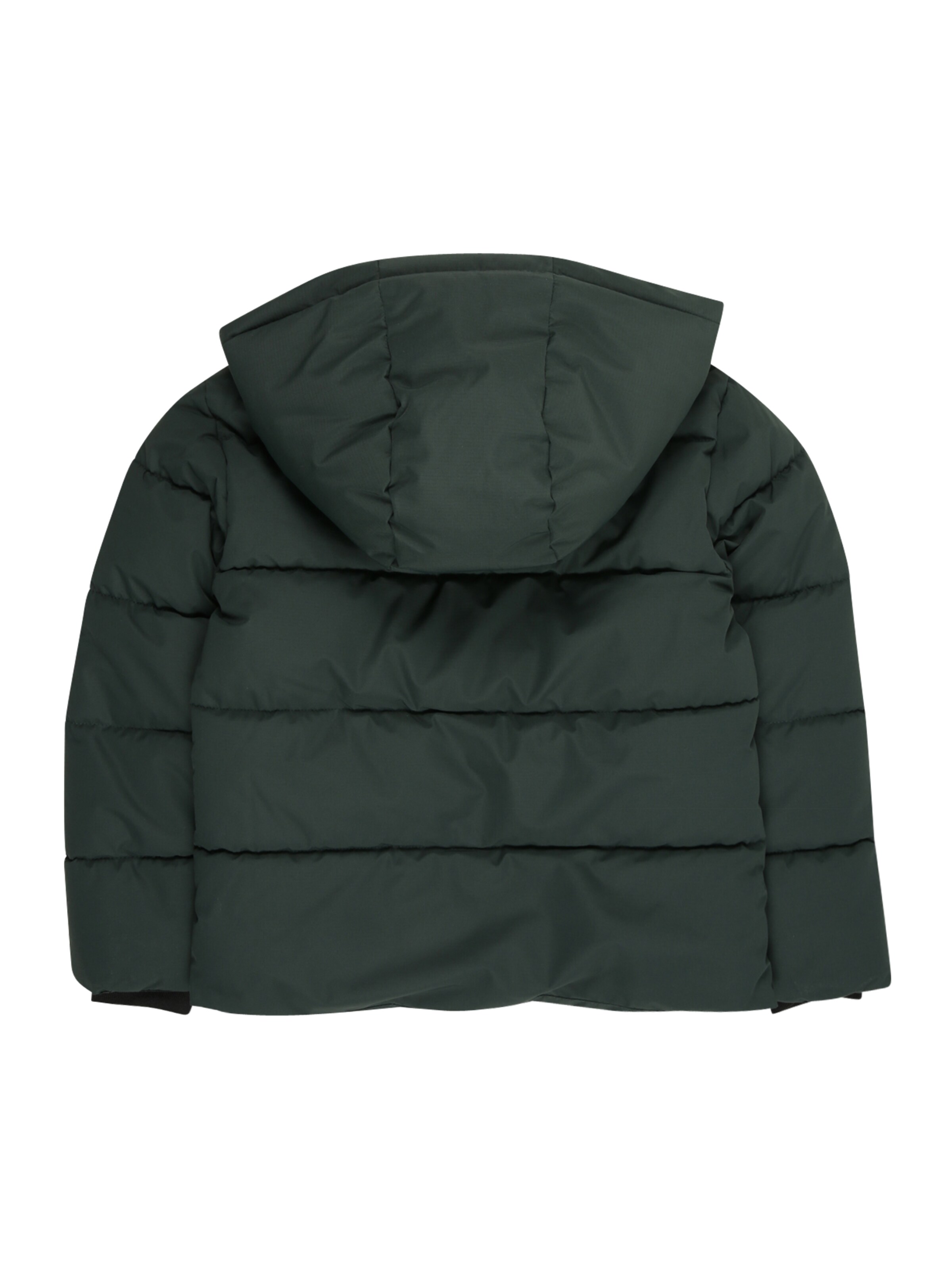 Veste mi-saison 'OSJElijah' Only & Sons Junior en vert