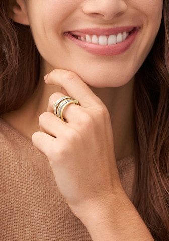 FOSSIL Ring in Gold: front