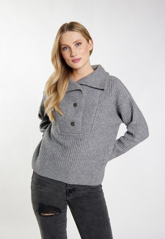 DreiMaster Vintage - Jersey 'Incus' en gris: frente