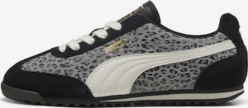 PUMA Sneaker 'Arizona' in Grau: Vorderseite