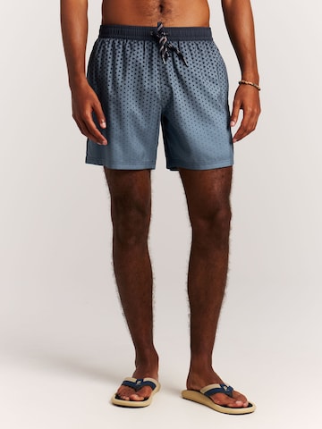PROTEST Board Shorts 'PRTNorthaw' in Blue