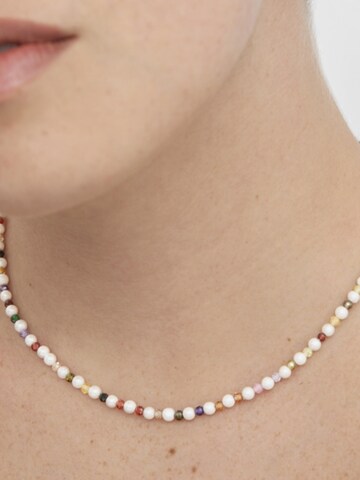 Chaîne 'Amio' Luxenter en mélange de couleurs