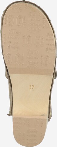 Scholl Iconic Clogs i beige