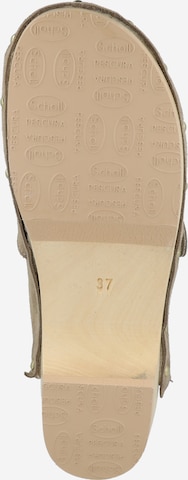 Clogs di Scholl Iconic in beige