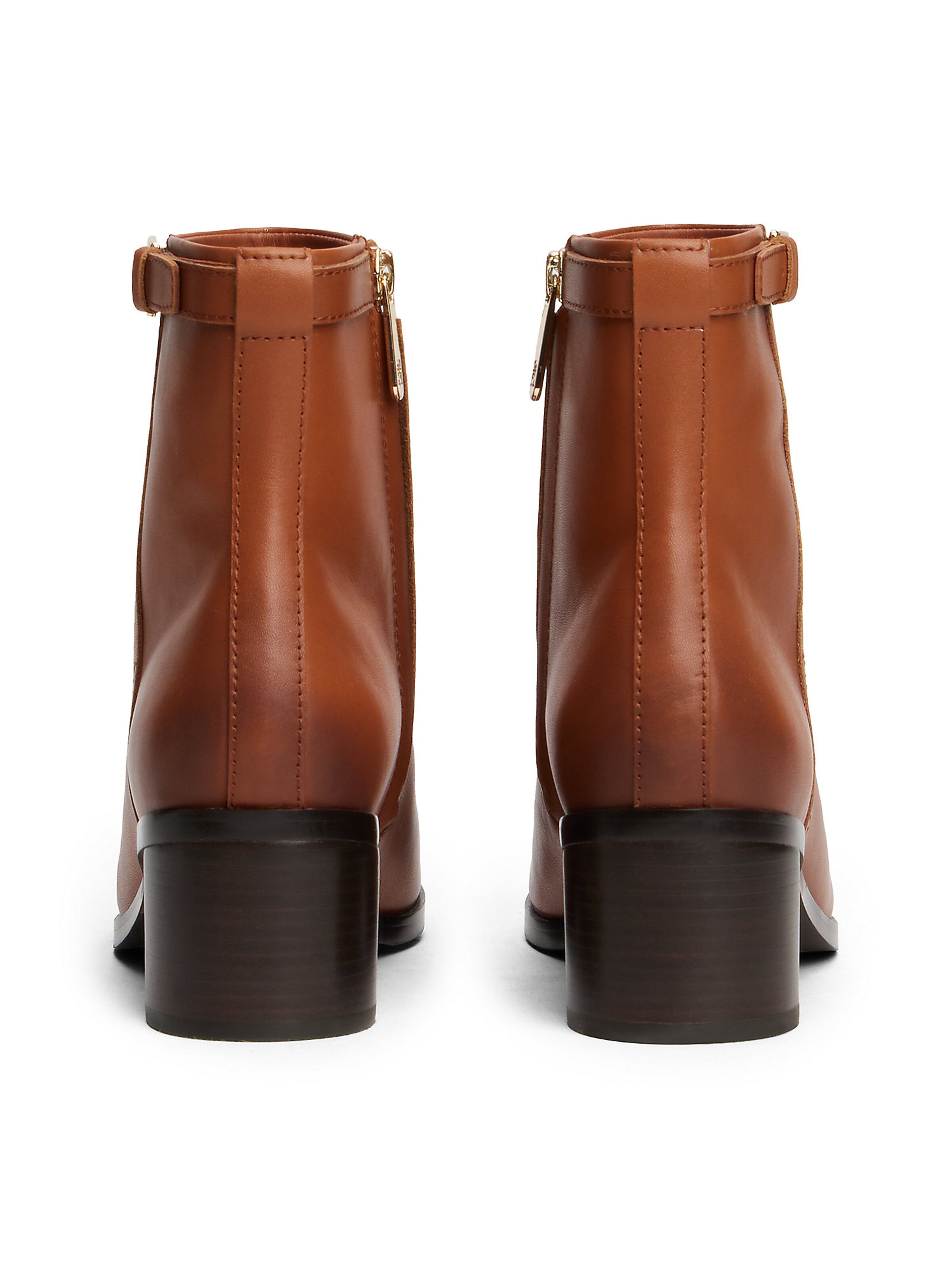 TOMMY HILFIGER Booties in Brown