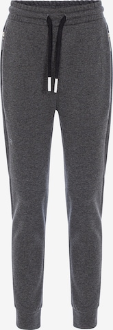 Redbridge Regular Pants 'Filton' in Grey: front