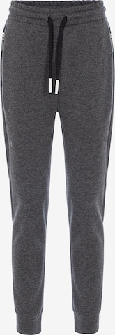 Redbridge Pants 'Filton' in Grey: front