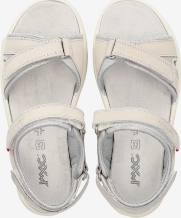 Sandales de randonnée IMAC en gris