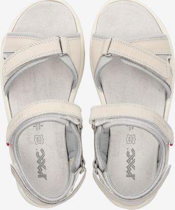 IMAC Hiking Sandals in Grey