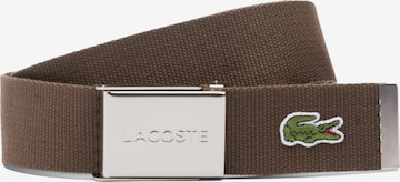 LACOSTE - Cinturón en marrón: frente