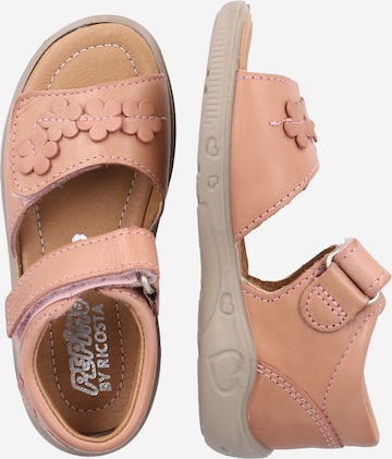 Pepino Sandals 'Tildi' in Pink