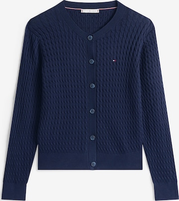 TOMMY HILFIGER Gebreid vest in Blauw: voorkant