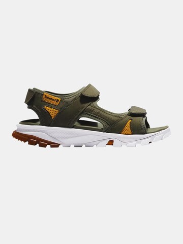 TIMBERLAND Sandals in Green
