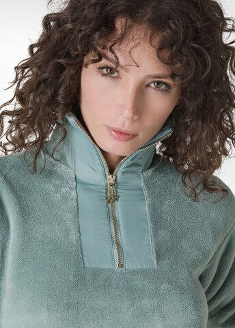 DEHA Sweatshirt in Groen