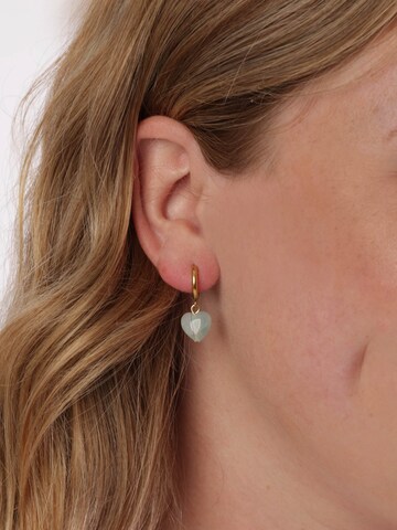 Lucardi Earrings in Gold