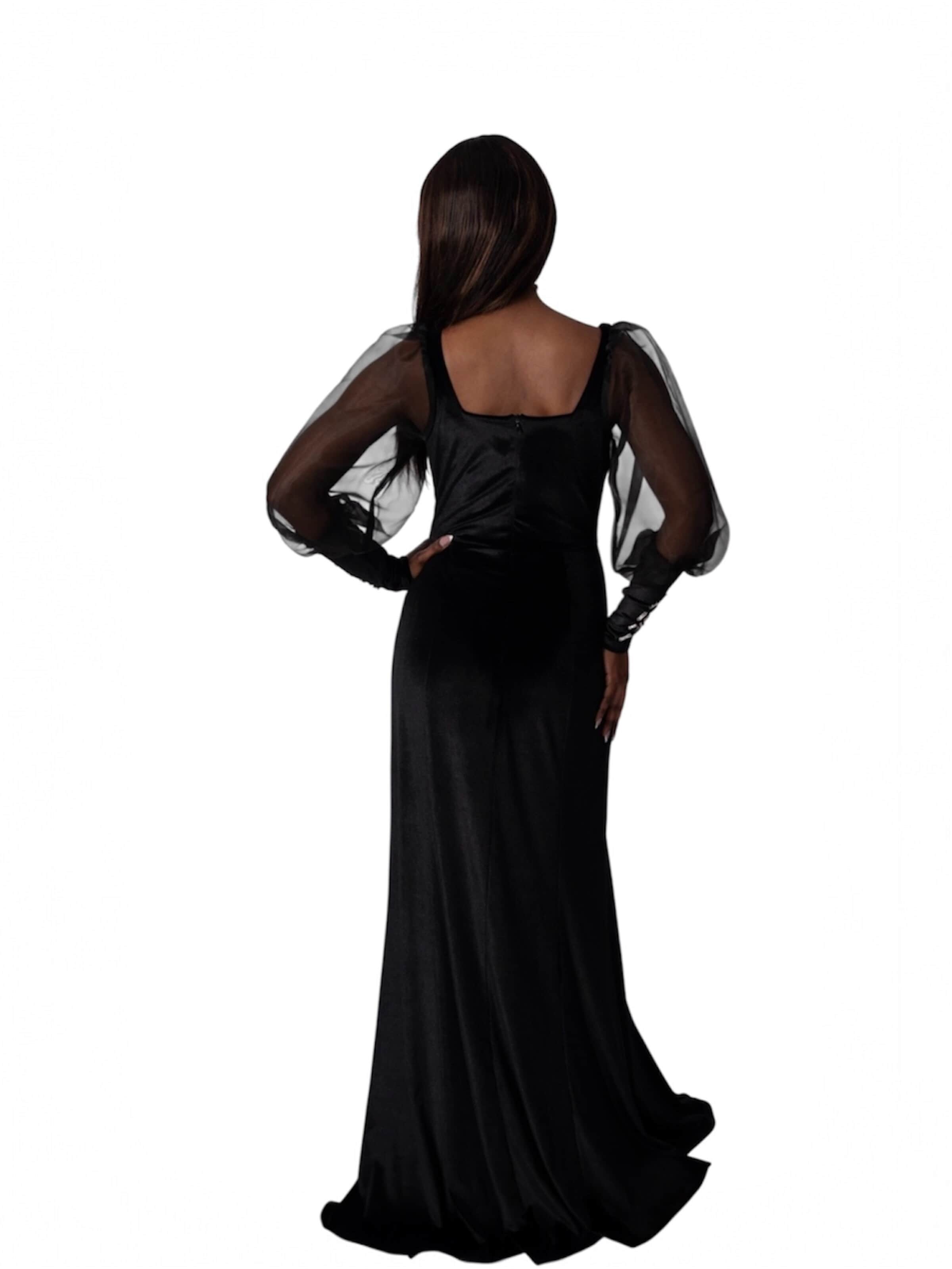 Elena Athanasiadou Evening dress in Black