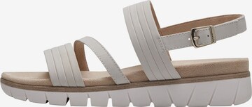 s.Oliver Sandalen met riem in Beige