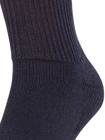 FALKE Socks 'Walkie Ergo' in Blue