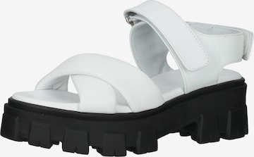 ILC Sandalen met riem in Wit: voorkant