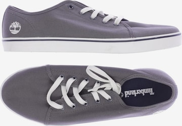 TIMBERLAND Sneaker 42 in Grau: Vorderseite