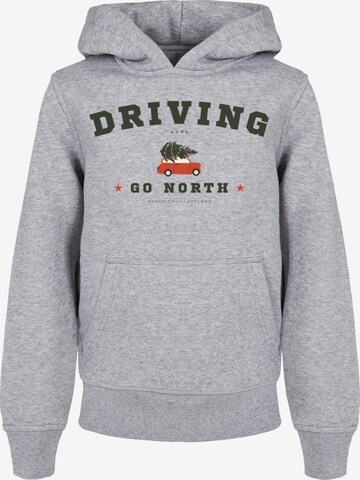 F4NT4STIC Sweatshirt in Grey: front