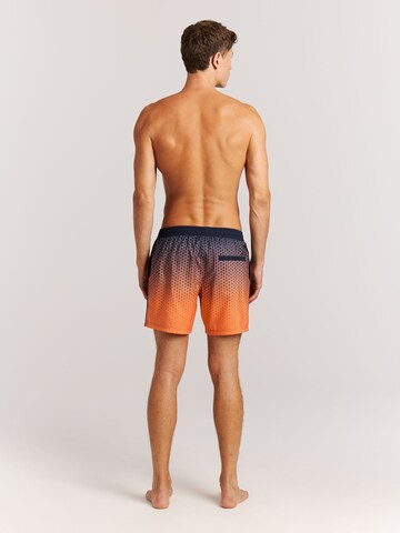 PROTEST Board Shorts 'PRTNorthaw' in Purple