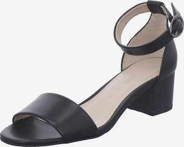 GERRY WEBER SHOES Sandals 'Gilona' in Black: front