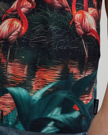 WE Fashion T-Shirt in Grün