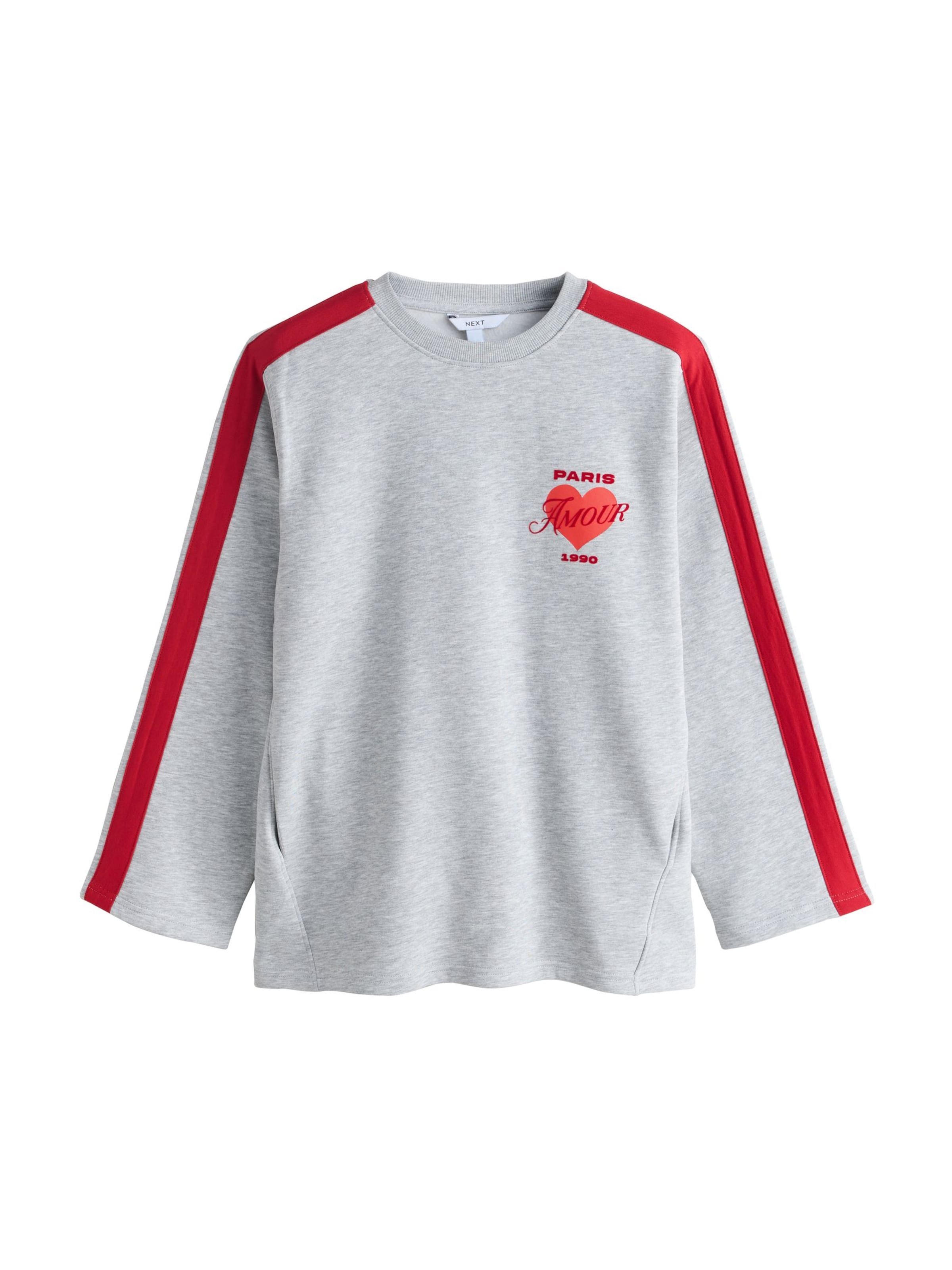Sweat-shirt 'Valentines Paris' Next en gris : devant