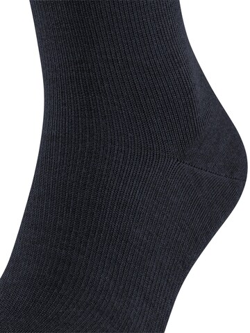 FALKE Kniestrümpfe 'Energizing Wool'‌‌‌‌‌‌‌‌ in Blau