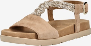 Sandalo di GABOR in beige: frontale