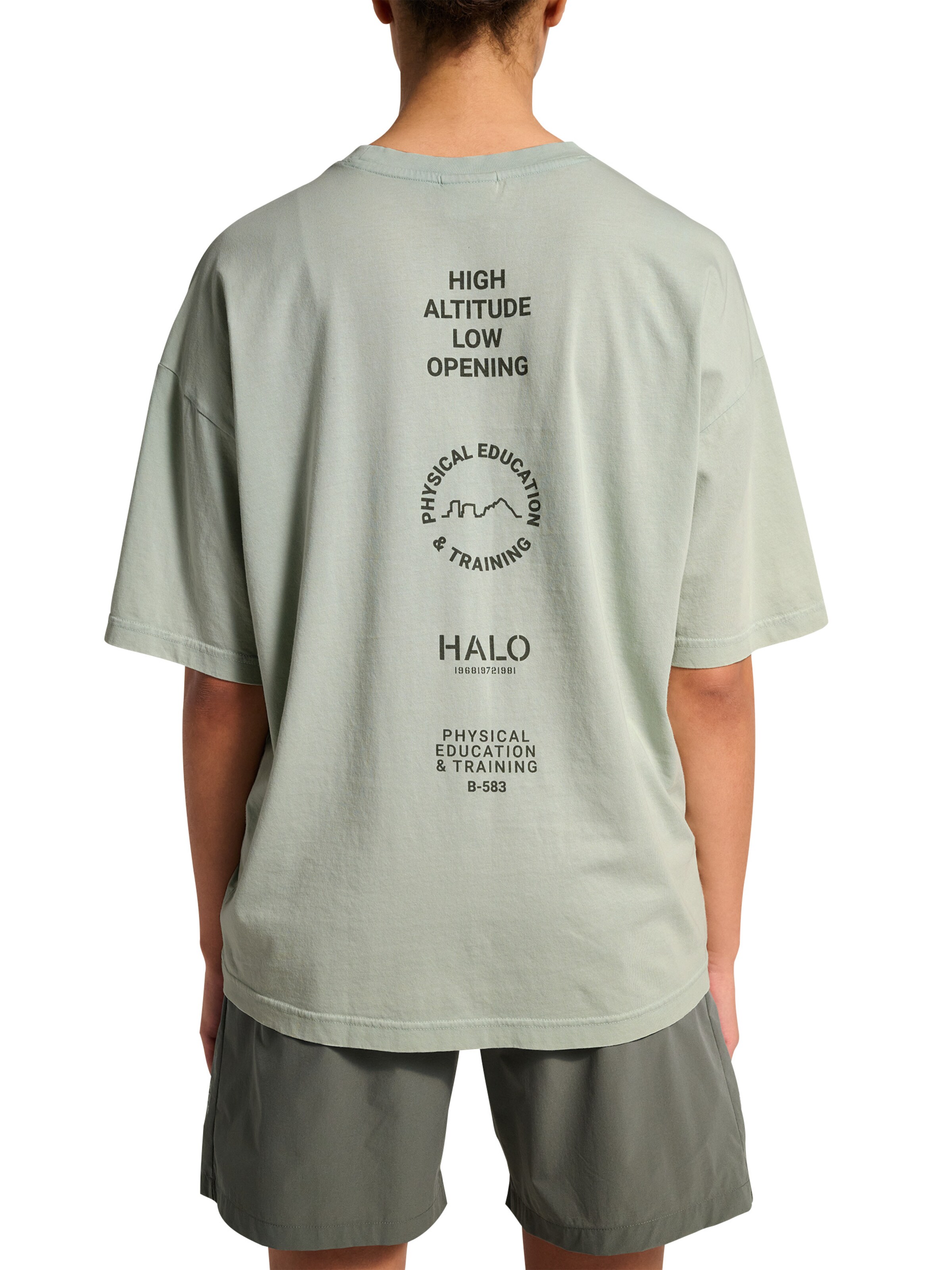 HALO Shirt in Groen