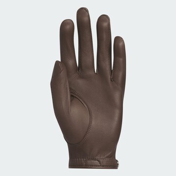 ADIDAS PERFORMANCE Sporthandschoenen in Bruin