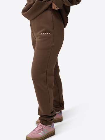TATES Tapered Sporthose in Braun