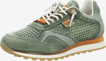 Baskets basses 'Sneaker Herren C848 USED TIN KOMBAT Rauleder in dunkelgrün' Cetti en vert : devant