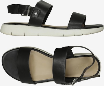 ALDO Sandals & High-Heeled Sandals in 38,5 in Black: front