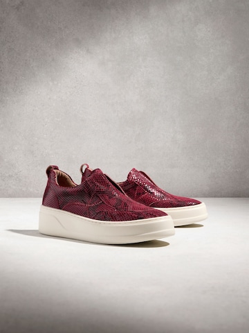 Next Слипоны в Красный