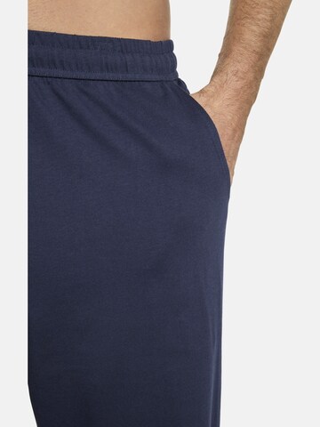 BABISTA Pajamas long ' Vanzo ' in Blue