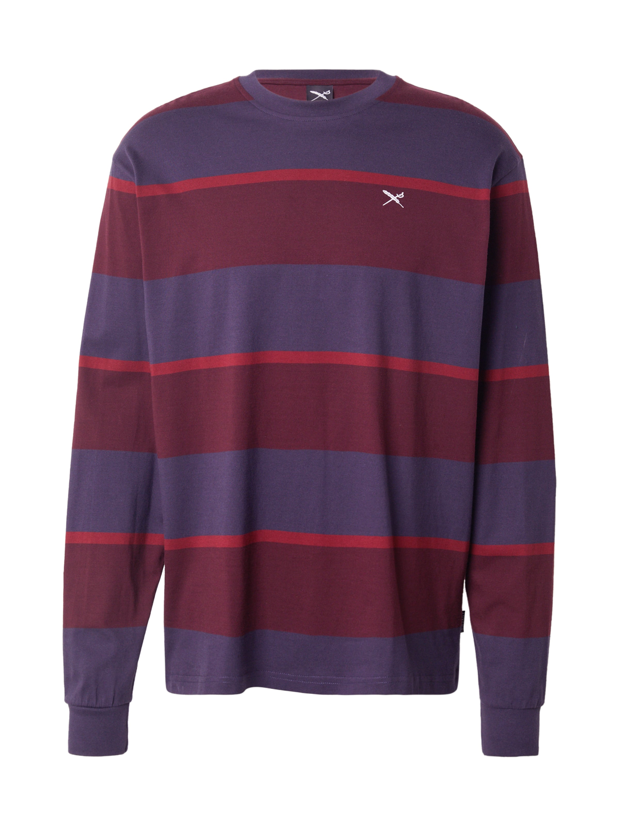 Iriedaily Футболка 'Boldness' в Синий: спереди