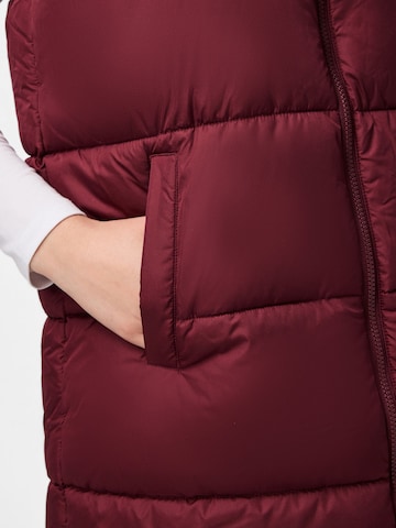 PIECES Bodywarmer 'PCBee' in Rood