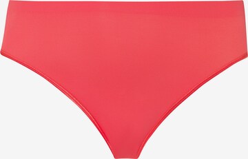 Hanro Panty ' Touch Feeling ' in Red: front