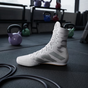 Chaussure de sport 'Box Hog 4' ADIDAS PERFORMANCE en blanc
