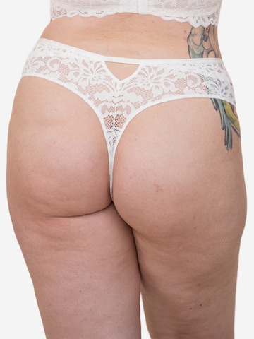 SugarShape String 'TRUE LUNA' in Wit