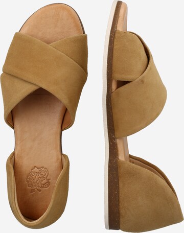 Apple of Eden Sandal 'Chiusi' i brun