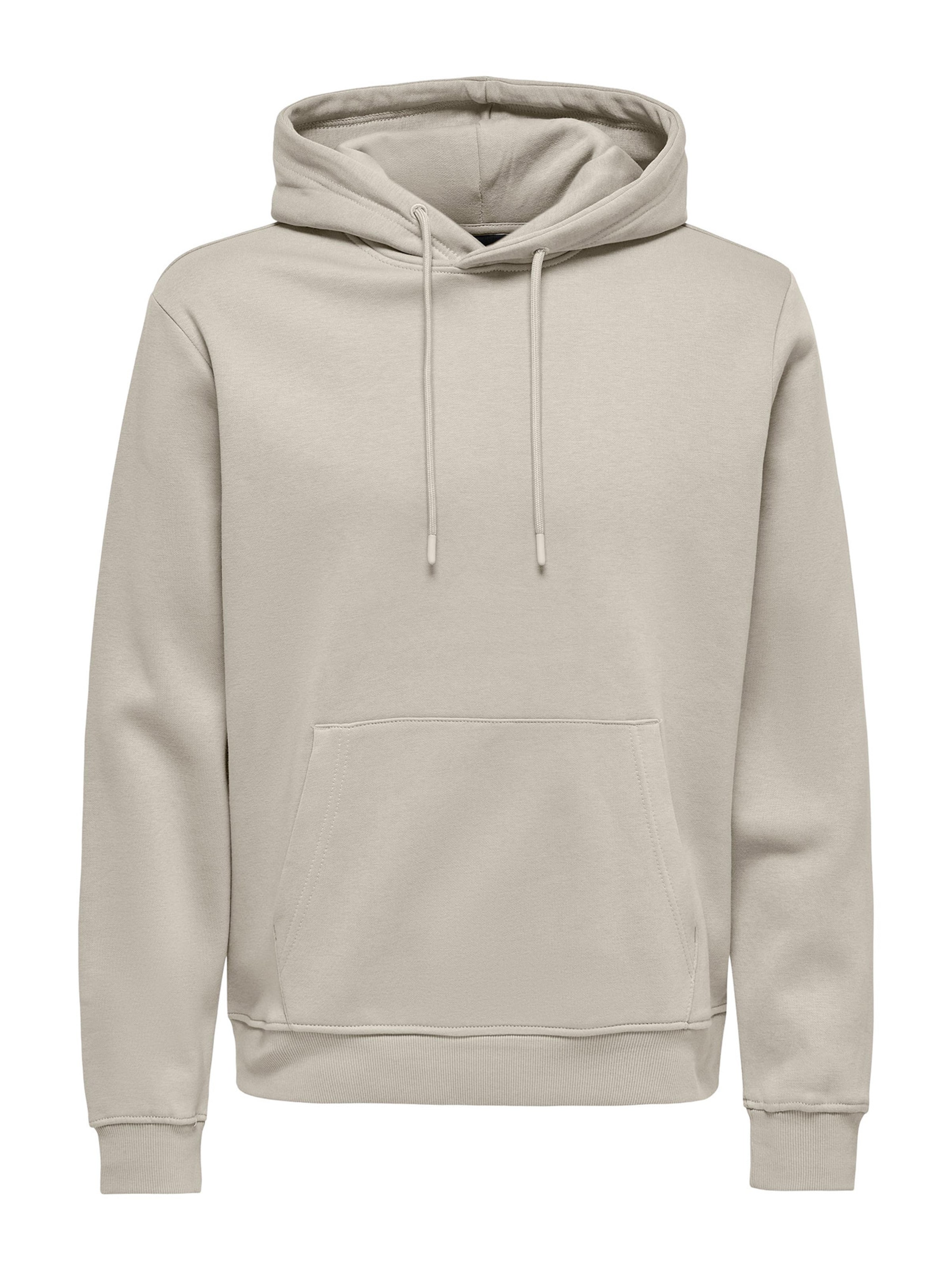 Only & Sons Sweatshirt 'Connor' in Beige: front