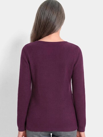 Goldner Sweater in Purple