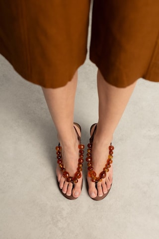 Sandales SACHA en marron : devant